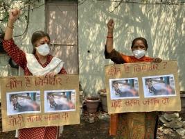 All  India Protest Day to Demand food and work and stop to violence 